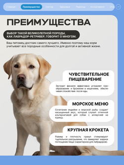 Корм для взрослых собак породы Лабрадор-ретривер, с лососем, 12 кг, QUATTRO