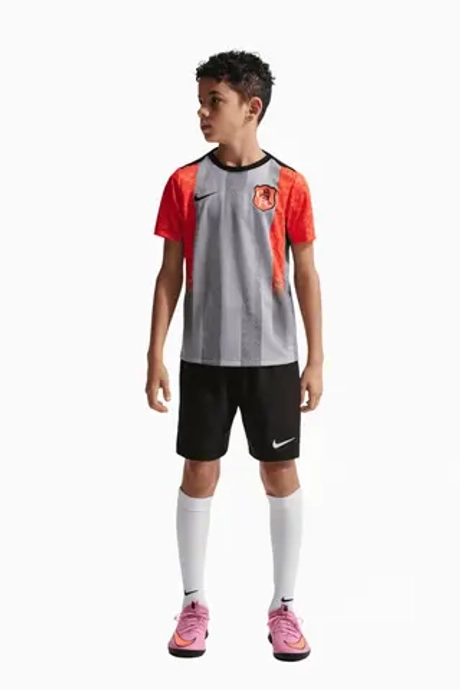 Футболка Nike Chelsea FC 25/26 Academy Pro Junior - серый