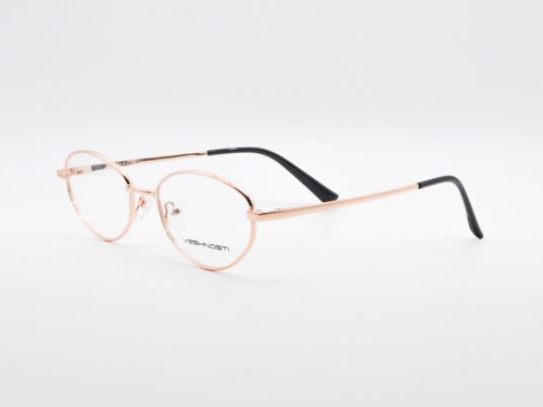 Изг. оправы VECHNOSTI F93122 C9