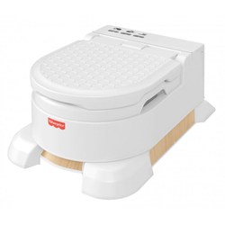 Fisher-Price - Горшок для домашнего декора 4in1 HBX68