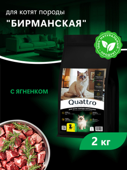 Корм сухой для котят породы Бирманская, с ягненком, 2 кг, QUATTRO