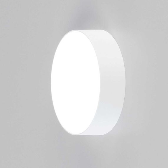 Накладной светодиодный светильник Citilux Тао CL712120N