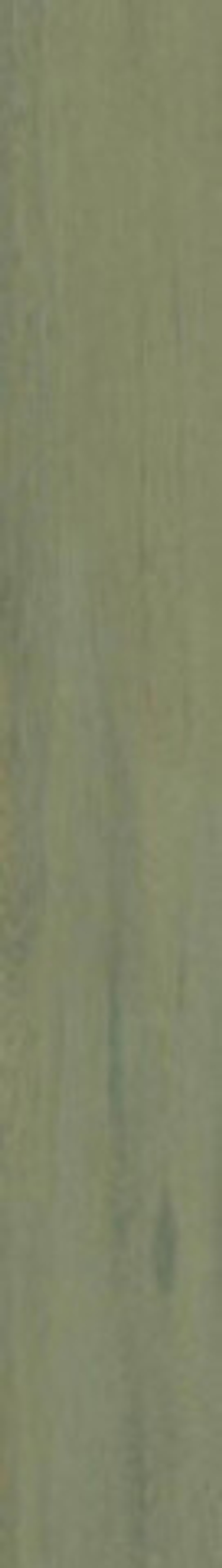 Керамогранит Lignum-R Green R10