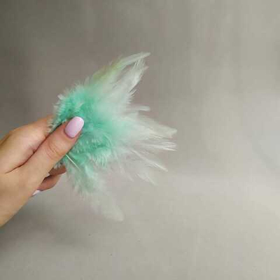 Перья петуха мятные 2 сорт 20 шт.