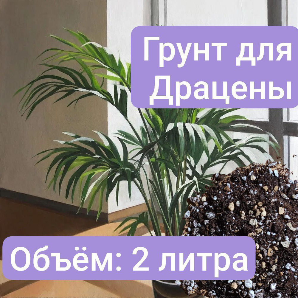Грунт для Драцены, 1 литр