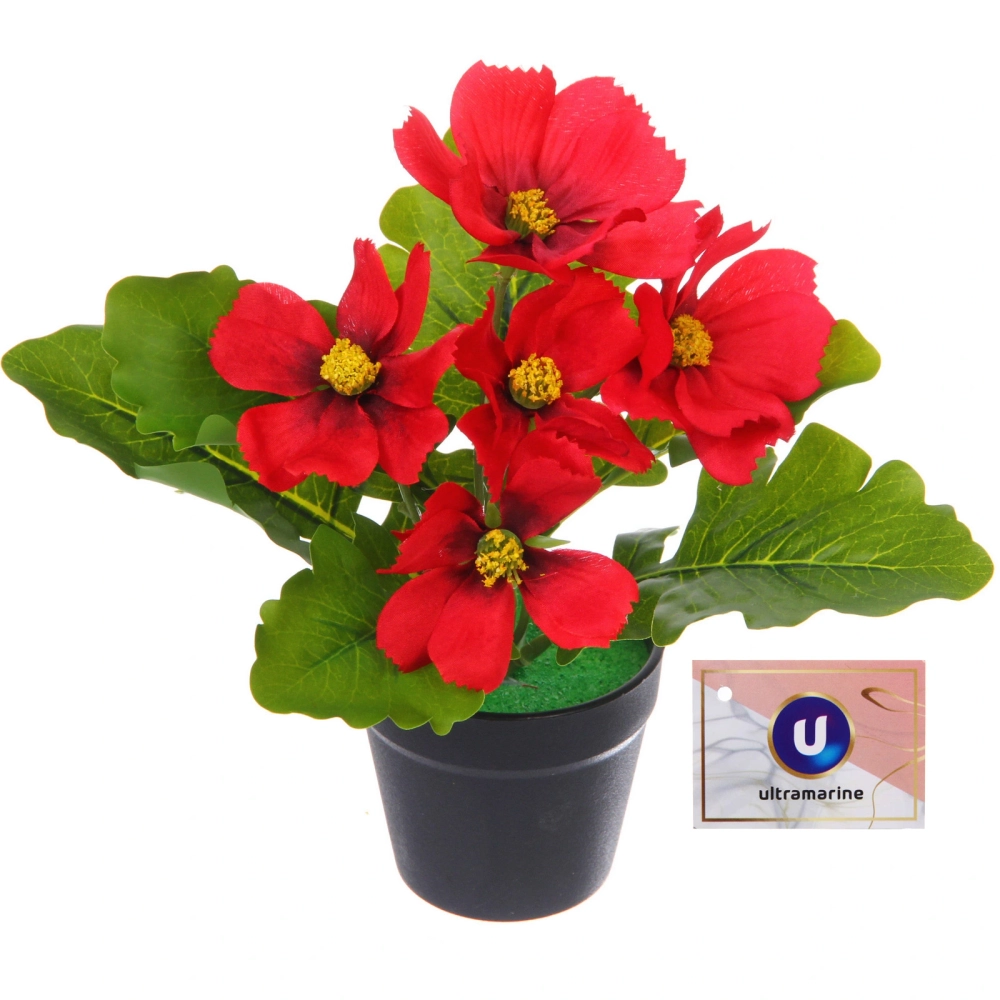 Цветочная композиция «Поцелуй лета» Космея красная 20см