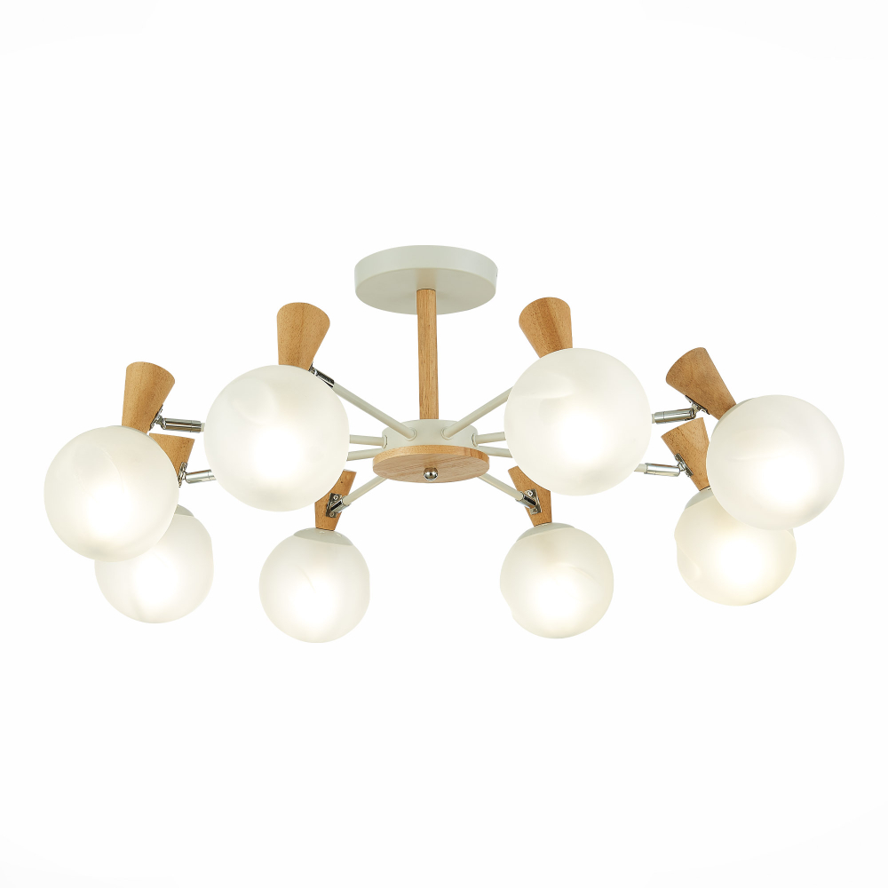 Светильник потолочный Evoluce Catania SLE220702-08