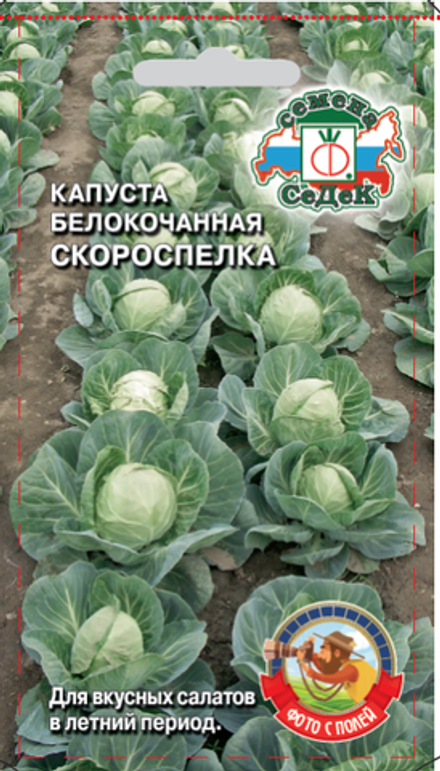 Капуста б/к Скороспелка Седек