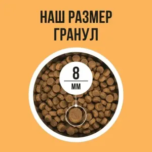 Сухой корм BOWL WOW для кошек с чувствительным пищеварением с индейкой, курицей и тыквой