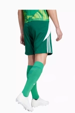 Шорты adidas Tiro 24 Training