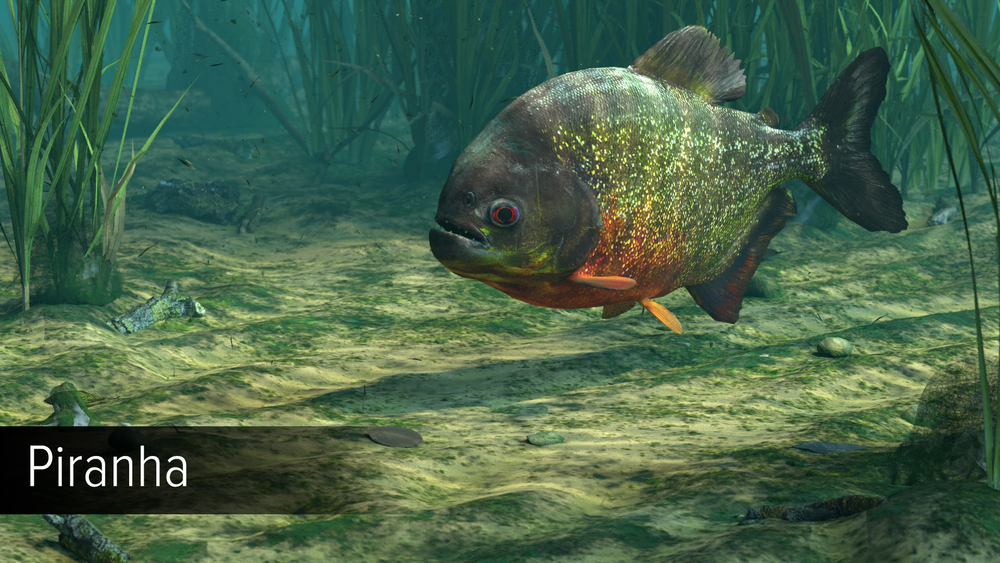 Ultimate Fishing Simulator - Amazon River (для ПК, цифровой код доступа)