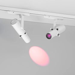 Светофильтр LGD-ARTIFACT-COLORFUL-FRAME-R55 (WH-PN) (Arlight, Металл) 057132