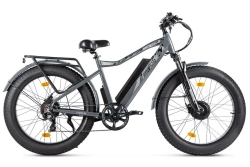 Электровелосипед Volteco BIGCAT DUAL NEXT