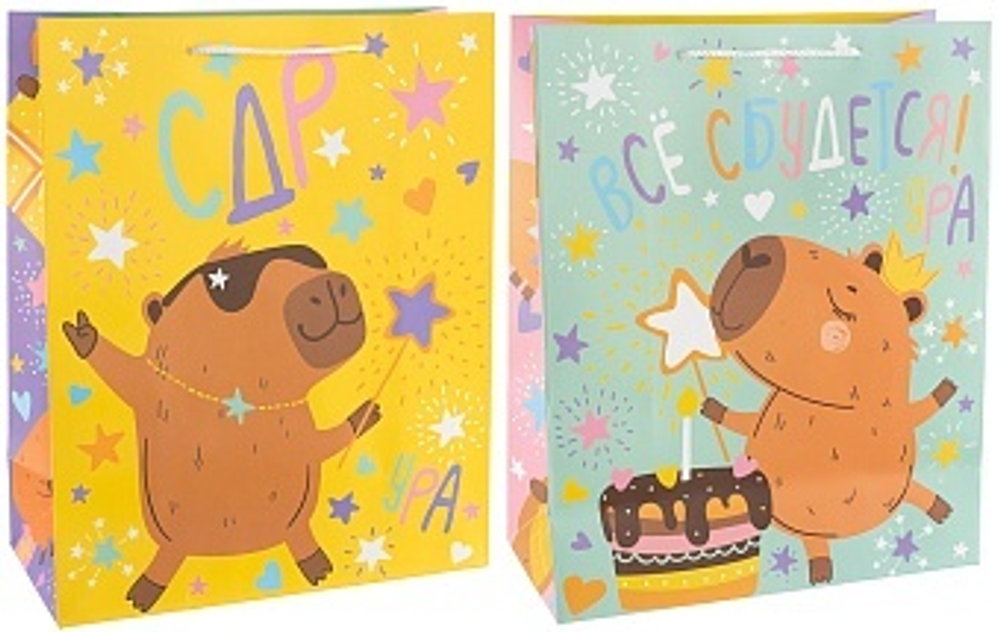 Пакет подарочный Капибара СДР Все Сбудется! 23*18*10 см.