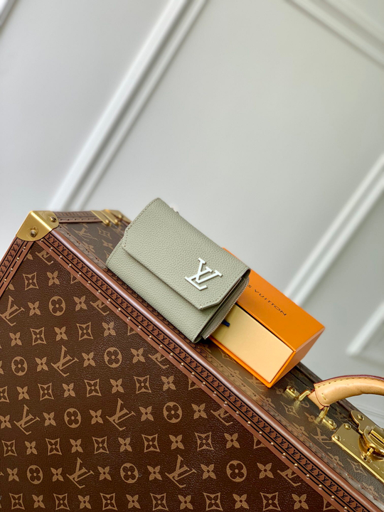 Louis Vuitton Aerogram Pilot Wallet