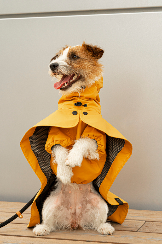 Дождевик "Пони-парасоли"