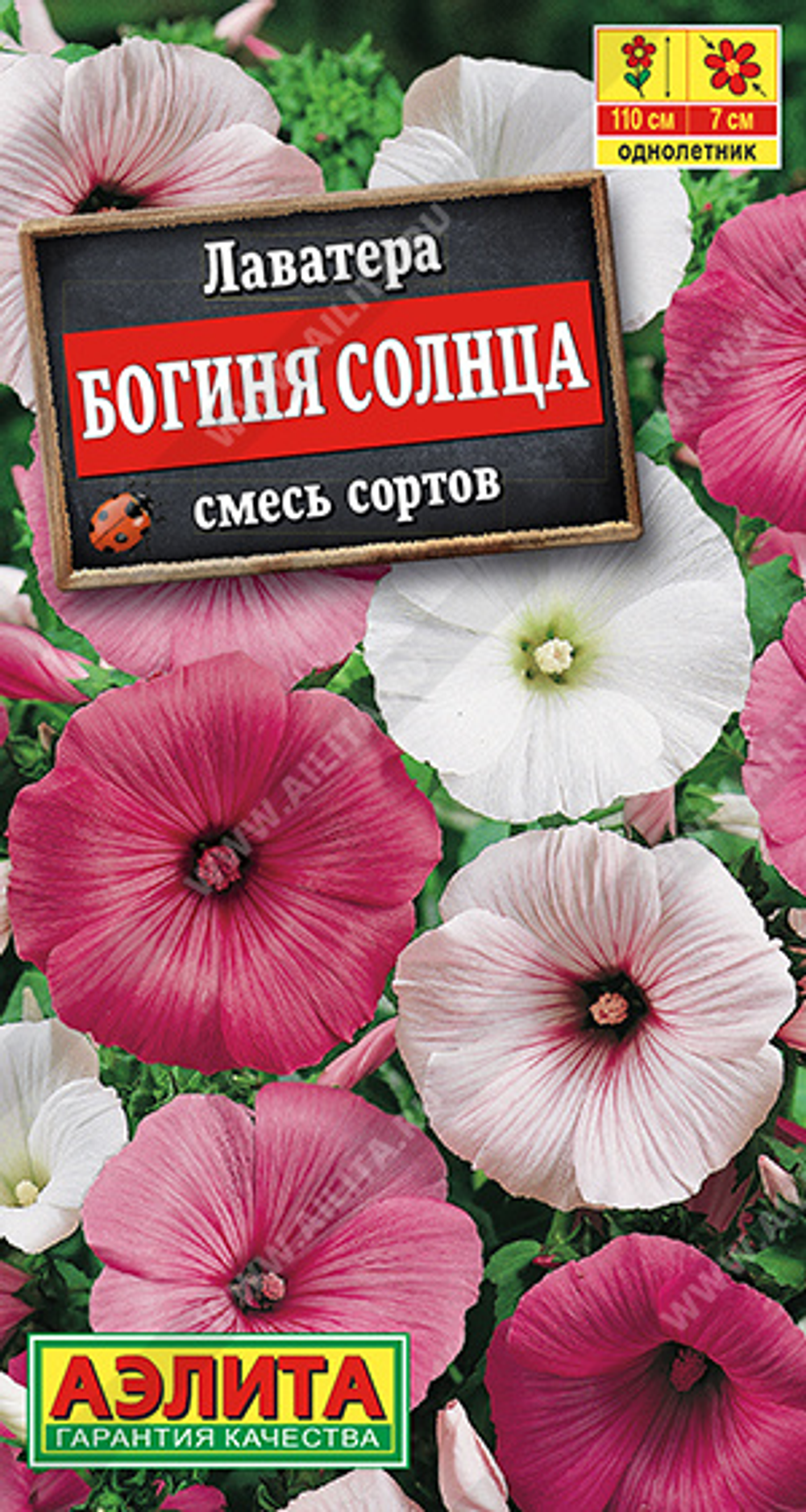 Лаватера Богиня солнца, смесь сортов