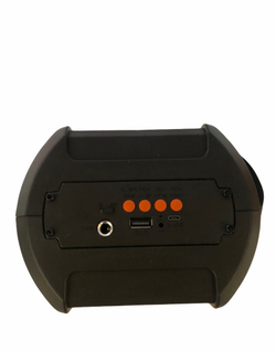 Беспроводная колонка ALP-403 с плечевым ремнем