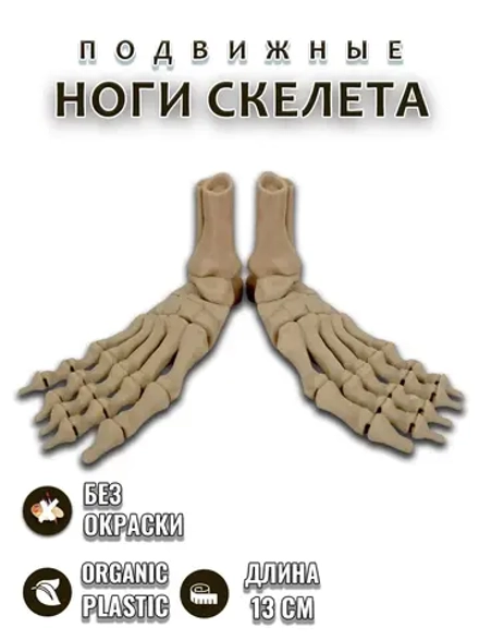 Ноги скелета