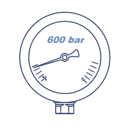 Манометр глицериновый D63 G1/4 - 600 Bar - радиальное подключение VERSO
