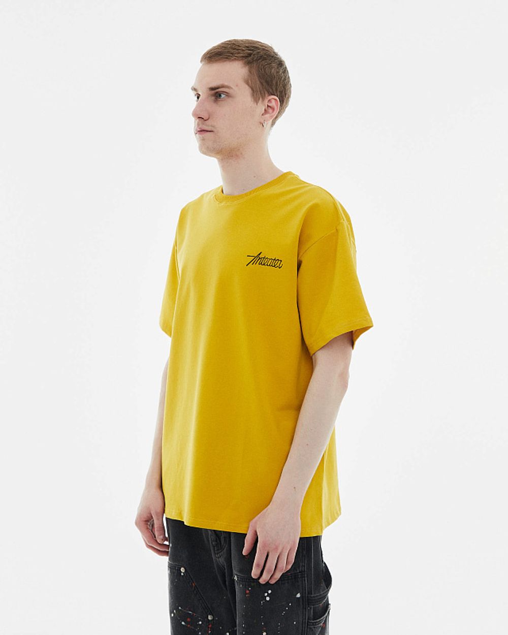 Купить Футболка Anteater  Phat 353 желтая Футболка Anteater  Phat 353 желтая