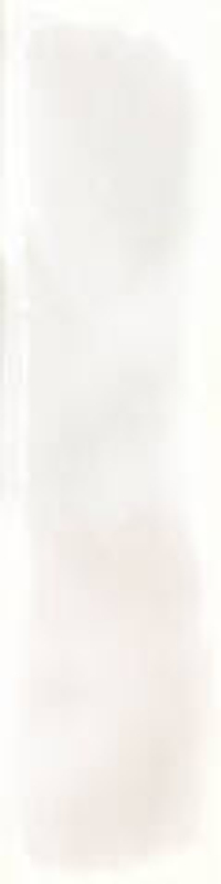 Cifre Alchimia Glaciar 7.5x30