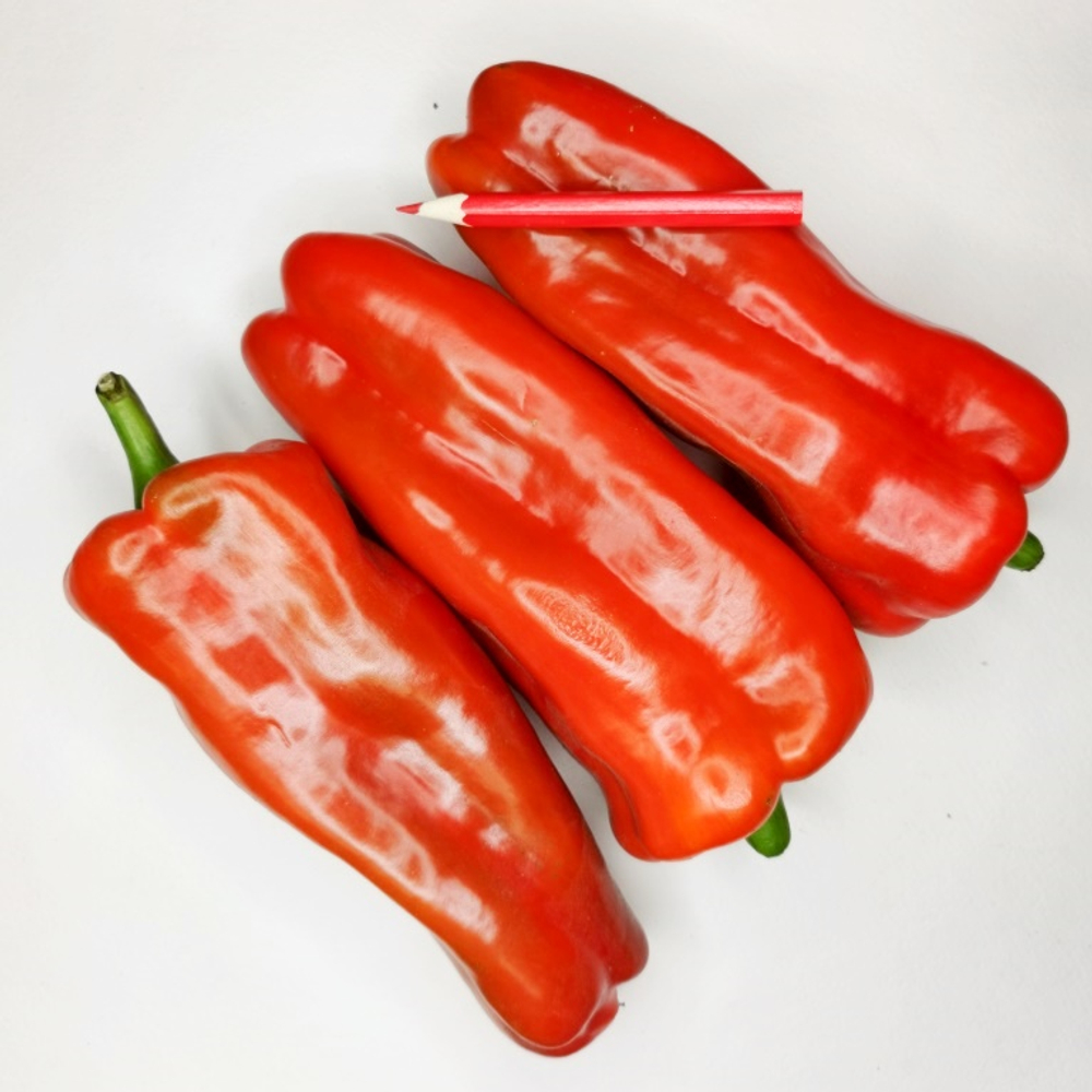 Перец Сладкий Гигантский — Big Bertha - Большая Берта