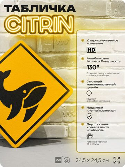 Табличка прикольная "Осторожно, киты №2" на дверь и стену, информационная и предупреждающая, декоративный знак, 24,5х24,5 см, пластиковая, Айдентика Технолоджи