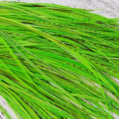 Перо из седла петуха Fluo Chartreuse - Variant