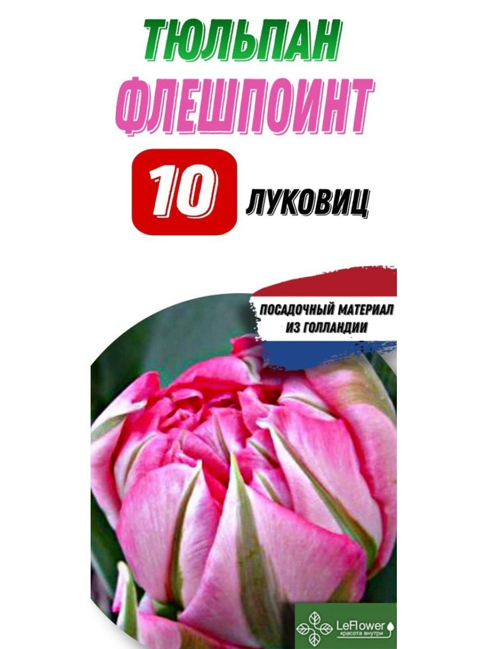 Тюльпан Луковица, Флешпоинт, 10шт