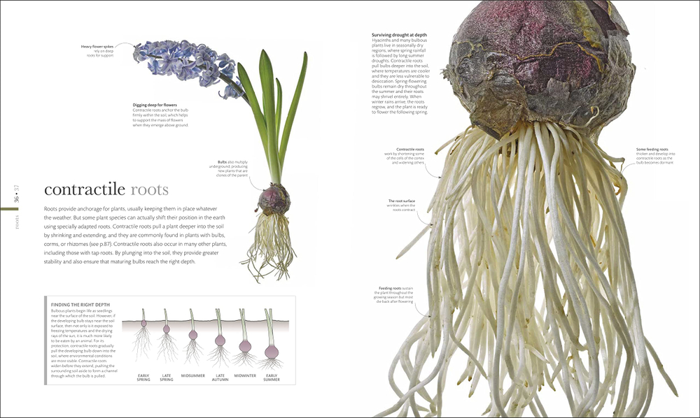 The Science of Plants: Inside their Secret World