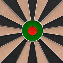 Мишень для дартса DFC SISAL PRO