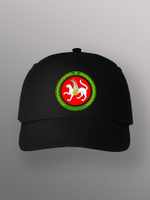 Бейсболка герб Татарстана