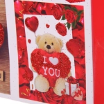 Пакет подарочный «I LOVE YOU!» 18*24*8,5 см, микс