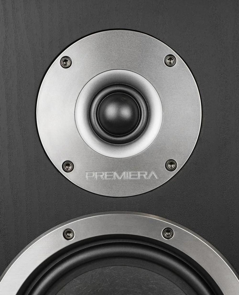 Полочная акустика Premiera DS-601