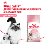 Royal Canin Mother&Babycat Мазэ энд Бэбикэт Корм сухой для котят в период первой фазы роста и отъема беременных и кормящих кошек 2кг