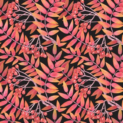 Ветка рябины. Ягода