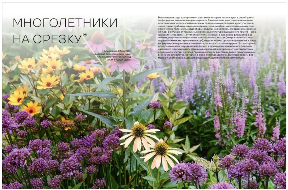 Цветоводство ОСЕНЬ 2025