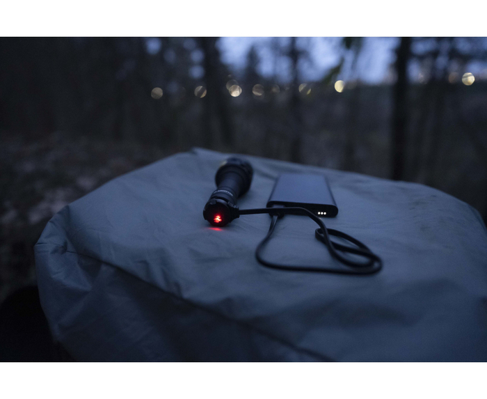 Фонарь Armytek Bear WRG (F09901C)