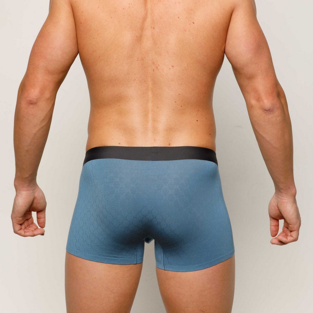 Мужские трусы боксеры голубые Sergio Dallini SD2901-2