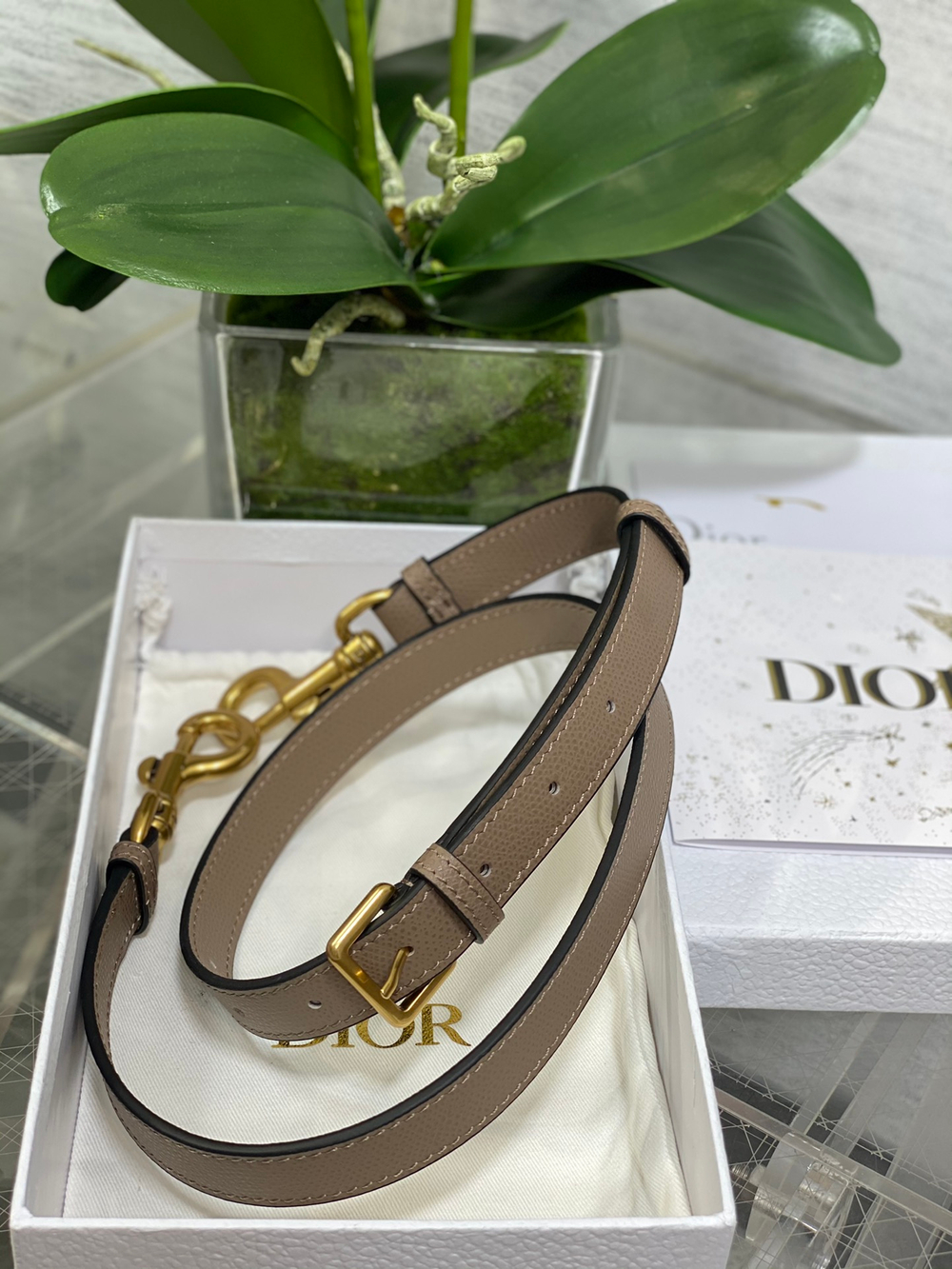 Christian Dior Saddle Bag with Strap