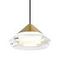 Подвесной светильник Freya Modern Cave FR5631PL-L5BS