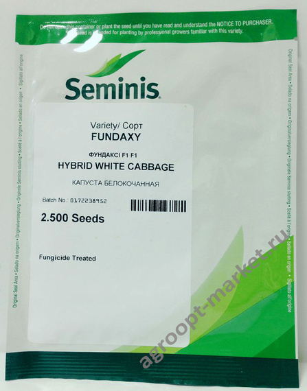 Фундакси F1 семена капусты белокочанной (Seminis / Семинис) на рассаду – фото 11