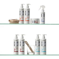 Solomeya Hair Rescue Argan Oil Hair Repair Shampoo восстанавливающий шампунь для поврежденных волос с аргановым маслом