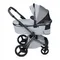 Коляска ANEX l/type 3 в 1 (lt-10t) frost