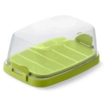 Масленка Летиция оливковая С322ОЛВ