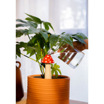 Фигурка с функцией полива для растений amanita