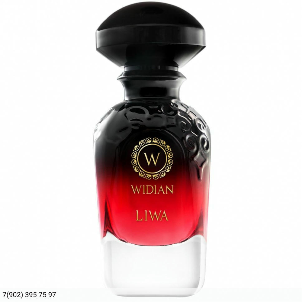 Aj Arabia Widian Liwa