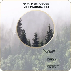 Фотообои 3D Лес в Тумане в спальню, в гостиную, на кухню 300х250