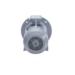 Электродвигатель ESQ PR 180 S2 GST-Б1-S12-IE2 22/3000 IM2001